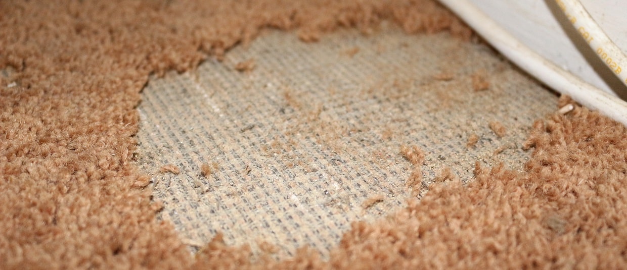 Damaged Carpet