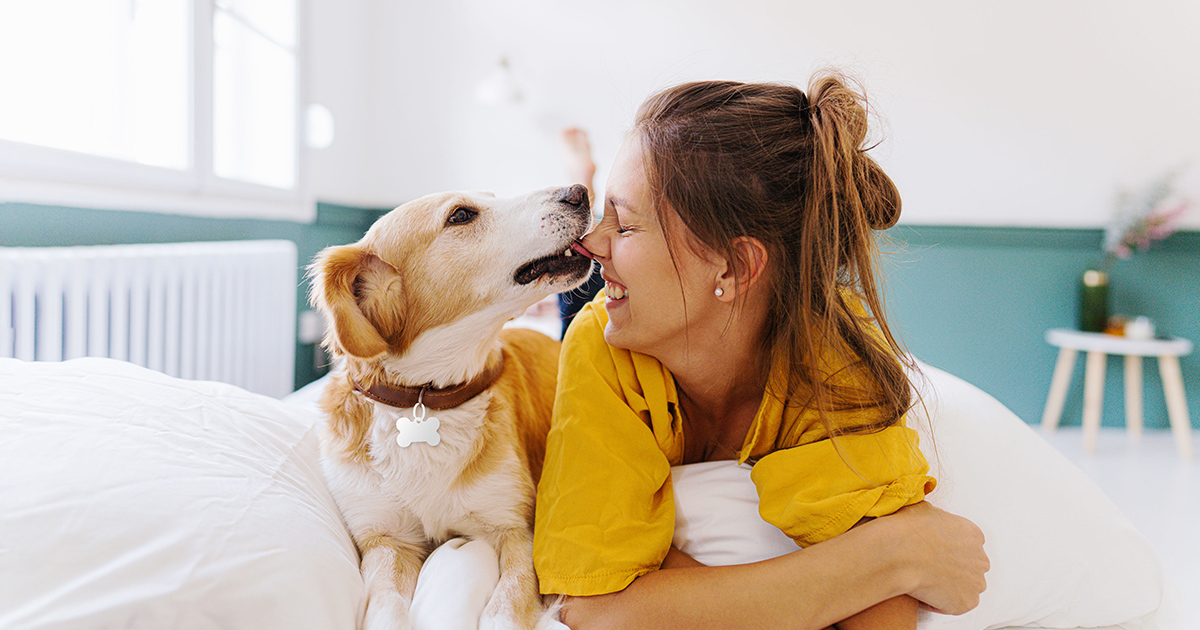 ASPCA Pet Health Insurance Review ASPCA Pet Health Insurance Review