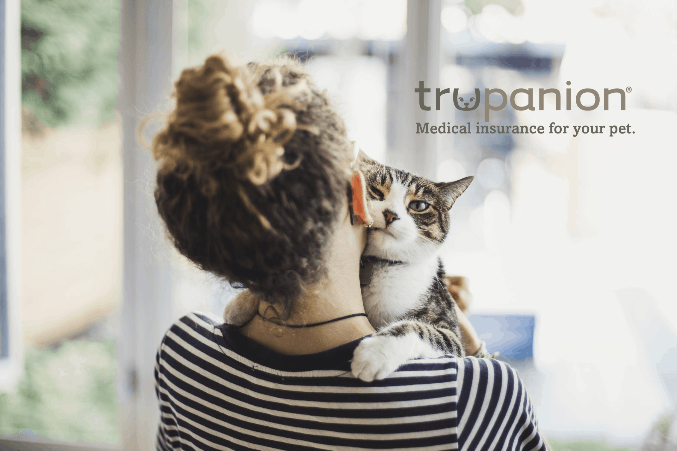 Trupanion Review Trupanion Review